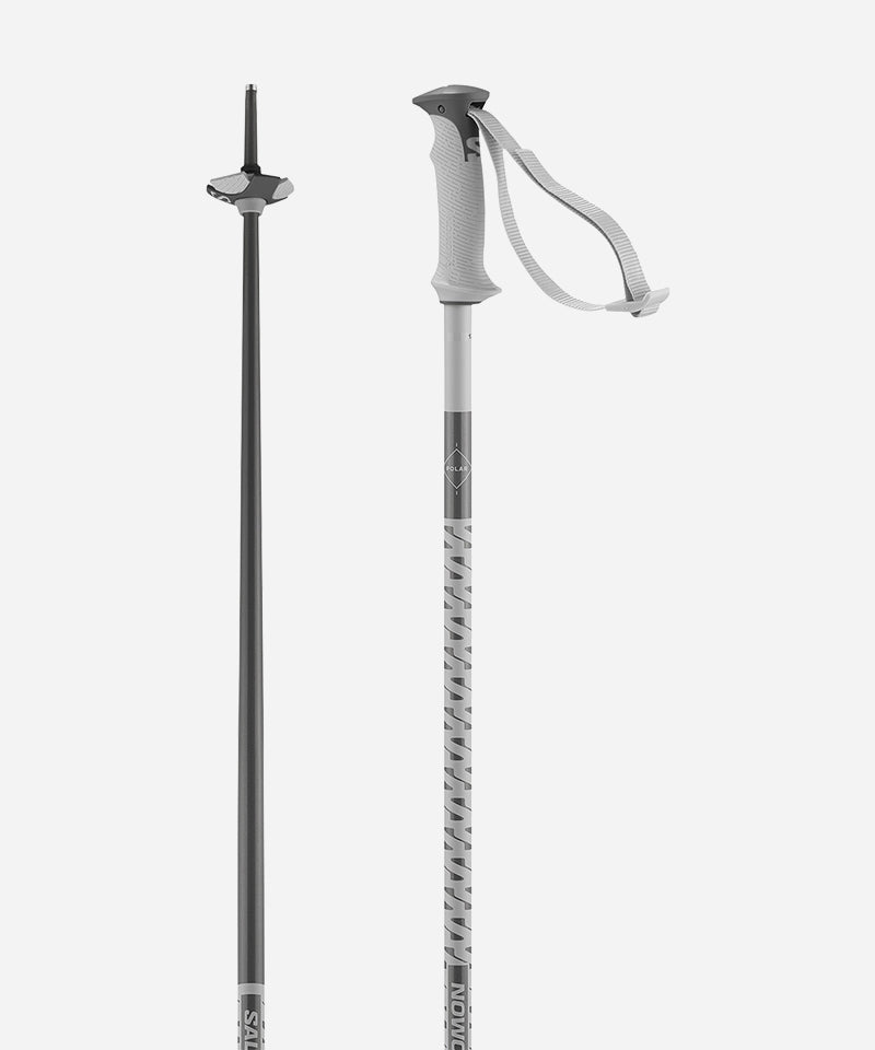 SalomonPolarSkiPoleGreyViolet-Tip