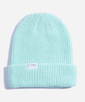 CoalTheStanleyBeanieMint