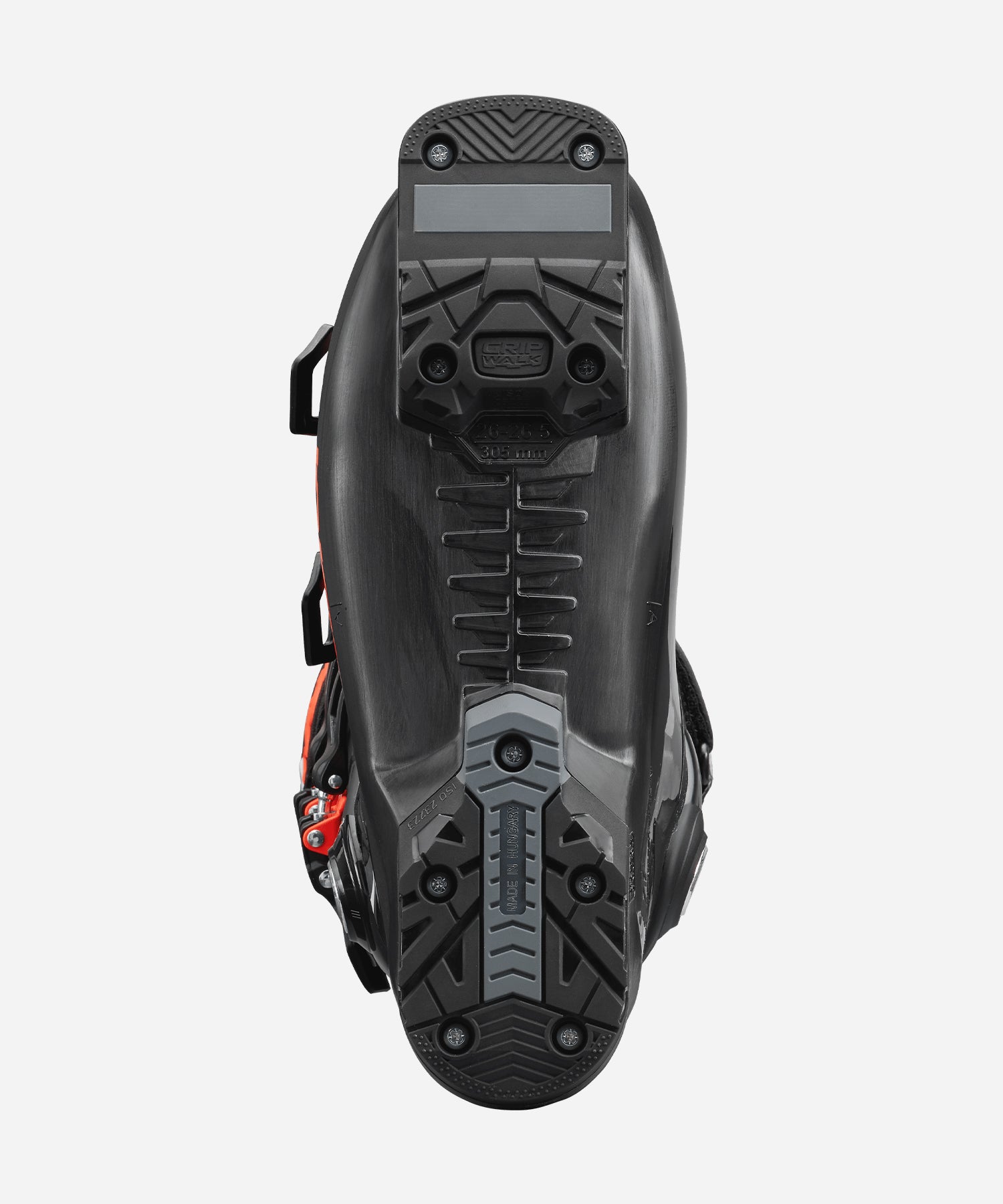 NordicaTheCruise1202026-Sole